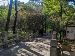 -灵岩山风景区