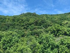 -普陀山风景区-佛顶山