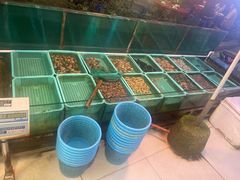 -隆都四季香饭店(碧海路店)