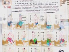 -广州神农草堂中医药博物馆