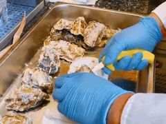 -威斯汀舞台餐厅