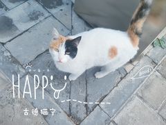 -北京石刻艺术博物馆
