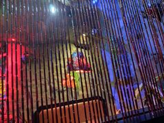 -醉小酒馆·川菜·江湖菜·重庆菜(观音桥旗舰店)