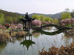 -石塘人家