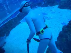 -成都浩海立方海洋公园