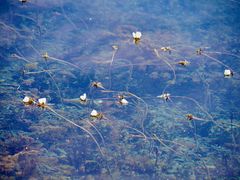 -丽江泸沽湖景区