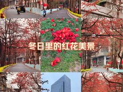 -三水森林公园