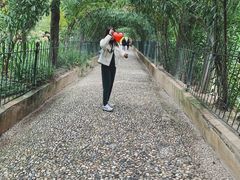 -阿尔罕布拉宫