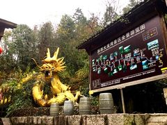 upload_pic-大明山自然探索公园