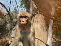 -石家庄市动物园