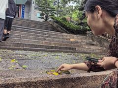 -国恩寺