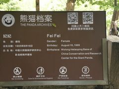 -都江堰中华大熊猫苑