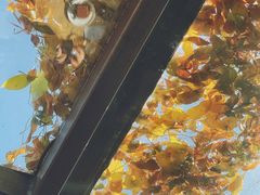 -VOYAGE COFFEE(北锣鼓巷店)