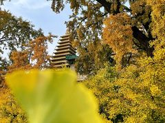 -北京石刻艺术博物馆(五塔寺)