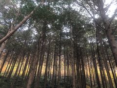 -青岛崂山太清宫