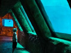 -香港海洋公园