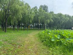-东郊湿地公园