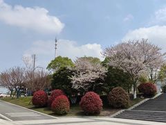 -洋湖国家湿地公园