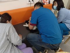 -全心全意动物诊疗中心医院(北苑店)