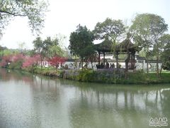 -盆景园(扬州大运河文化旅游度假区)