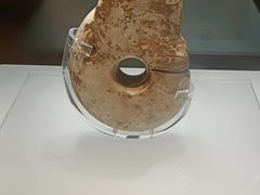 -辽宁省博物馆