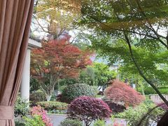 -浙江西子宾馆·瑶园咖啡厅