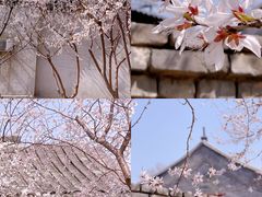 -三里河公园