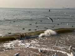 -老虎石海上公园