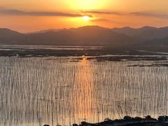 -北岐滩涂