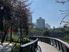 -四海公园(南山区)