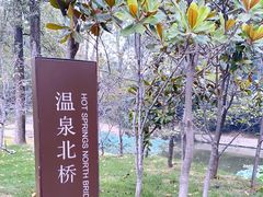 -思念果岭悦温泉