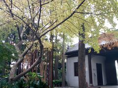 -汇龙潭