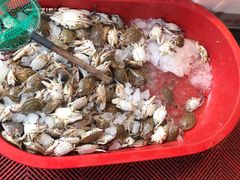 -芦潮港集贸市场