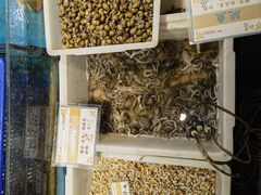 -拉完海鲜大排档(温岭店)