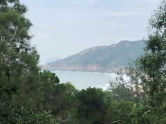 -广东惠东海龟国家级自然保护区