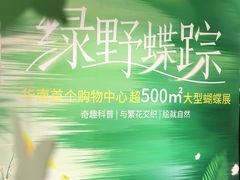 -深圳龙华星河COCO City(民治店)