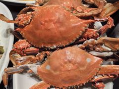 -金海湾海鲜排档(朱家尖店)