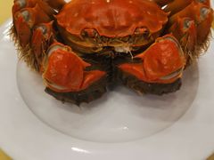 -王宝和酒家(黄浦店)