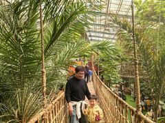 -呀路古热带植物园