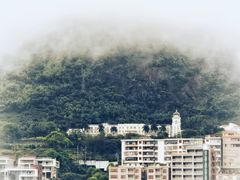 -广州市流溪河国家森林公园