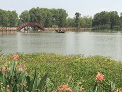 -长兴太湖图影湿地文化园