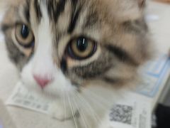 -佳雯宠物医院·皮肤科·内外科(春晓路分院)