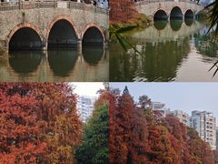 -中国科学院华南植物园