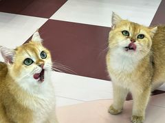 -福田卓悦INTOWN购物中心