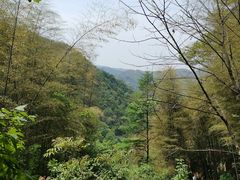 -藏龙百瀑风景区