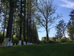 -黄海国家森林公园