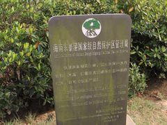 -东寨港红树林旅游区