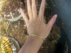 -九鲜坊烧烤城
