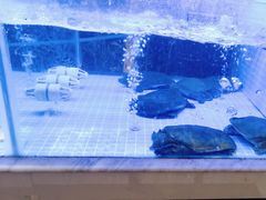 -王捌小院(红花坡店)