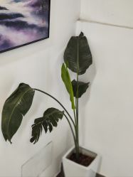 -形象公社